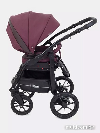 Универсальная коляска Rant Patio (2 в 1, 05, фиолетовый)