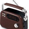 Радиоприемник Ritmix RPR-045 (коричневый)