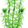 Искусственное растение Barbus Элодея Plant 004/50 (зеленый)
