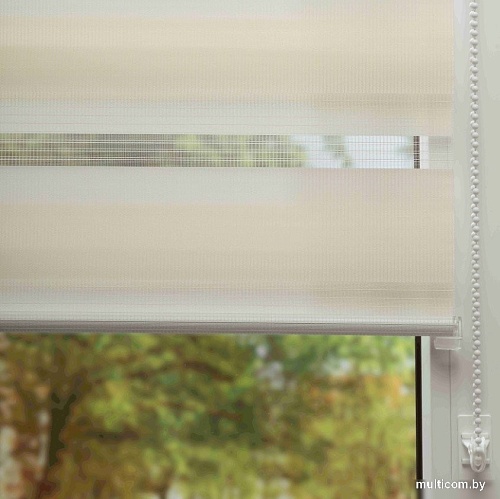 Шторы день-ночь Lm Decor ДН LB 10-16 160x170