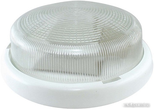 Светильник TDM НПП 03-100-015.01 УХЛ4 Рондо