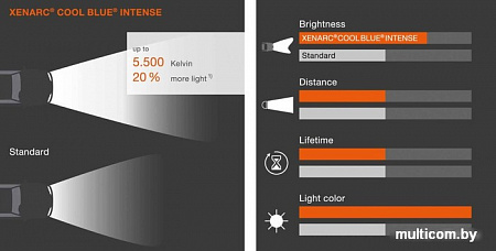Ксеноновая лампа Osram D2S Cool Blue Intense Xenarc 2шт [66240CBI-HCB]