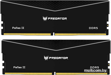 Оперативная память Acer Predator Pallas II 2x16ГБ DDR5 6400 МГц BL.9BWWR.434