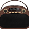 Радиоприемник Ritmix RPR-040 (шоколадный)