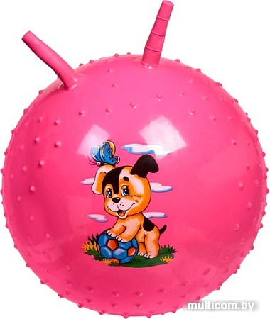 Мяч Bradex DE 0542