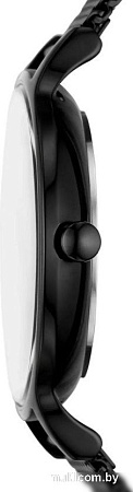 Наручные часы Skagen SKW3112