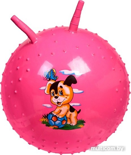 Мяч Bradex DE 0542