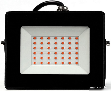 SmartBuy SBL-FLFITO-30-65K