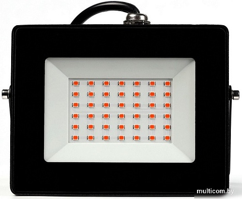 SmartBuy SBL-FLFITO-30-65K