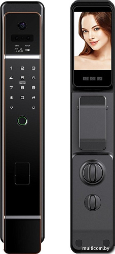 Дверной замок Roome Tuya 3D face intercom Lock 3D face-1 (черный)