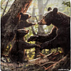 Плед Arya Bear Family 8680943247377 200x220 (черный)