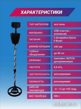 Металлоискатель GTR AC-250