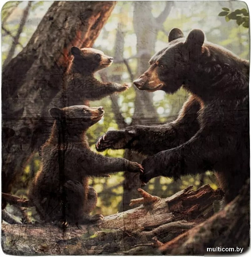 Плед Arya Bear Family 8680943247377 200x220 (черный)