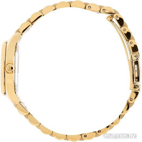 Наручные часы Michael Kors MK3229
