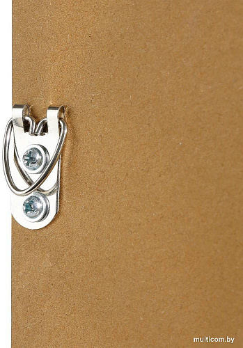 Картина Eglo Roberval 423112