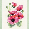 Набор для вышивания Риолис Розовые маки № 1775