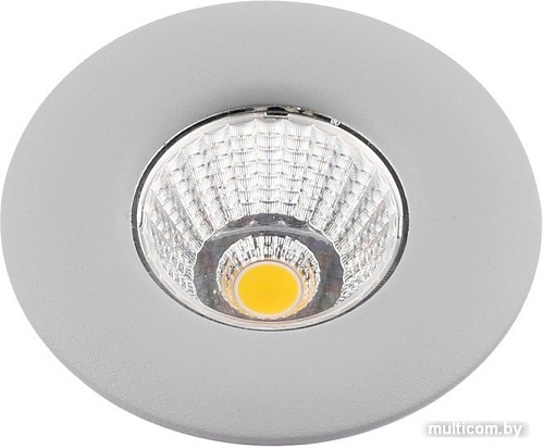 Точечный светильник Arte Lamp Uovo A1425PL-1GY