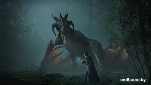 Hogwarts Legacy для Xbox Series X