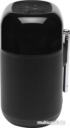 Радиоприемник JBL Tuner XL