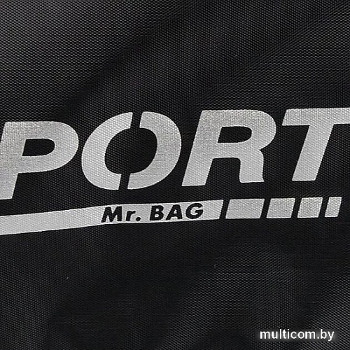 Спортивная сумка Mr.Bag 020-J042R-MB-BNV (синий)