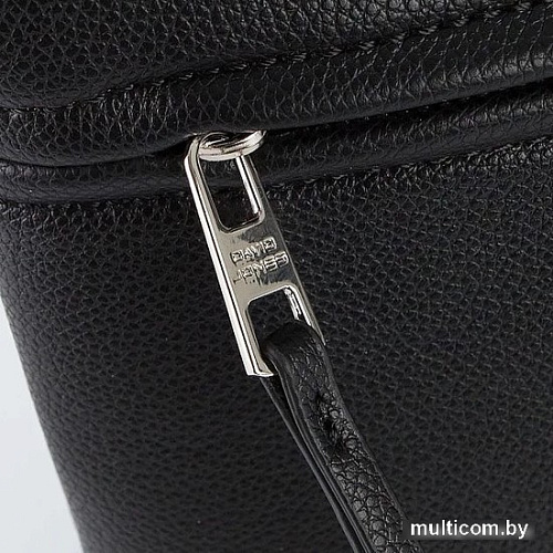 Женская сумка David Jones 823-CH21031D-BLK (черный)