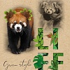 Общая тетрадь Hatber Green Life 96Т5В1 (96 л)