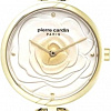 Наручные часы Pierre Cardin PC902762F03