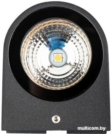 Уличный настенный светильник Rexant 610-001