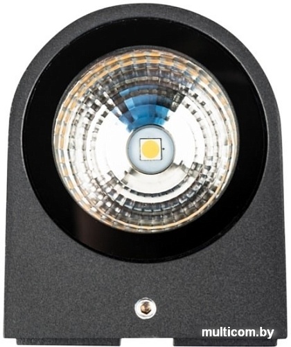 Уличный настенный светильник Rexant 610-001