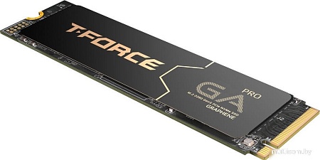 SSD Team T-Force GA PRO 1TB TM8FFJ001T0C129