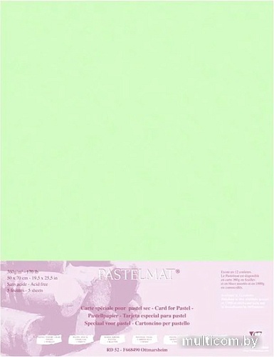 Бумага для рисования Clairefontaine PastelMat 96157C (светло-зеленый)