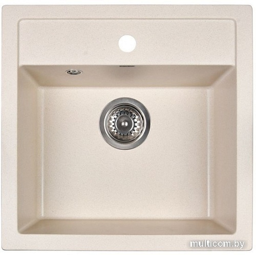 Кухонная мойка Wisent 510-30W (с сифоном GER013)