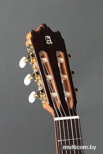 Акустическая гитара Alhambra Student Iberia Ziricote