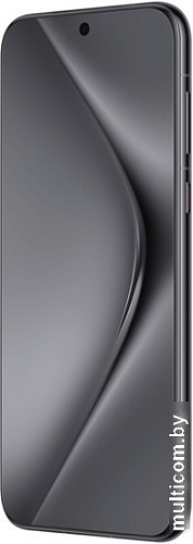 Смартфон Huawei Pura 70 Pro HBN-LX9 12GB/512GB (черный)