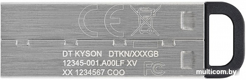 USB Flash Kingston Kyson 256GB