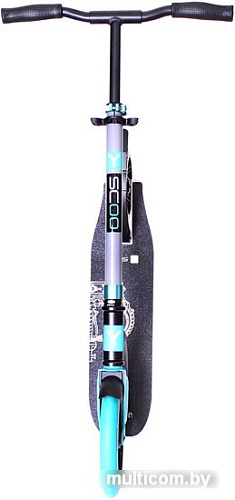 Самокат Y-Scoo RT Slicker Family Design 230 (голубой)