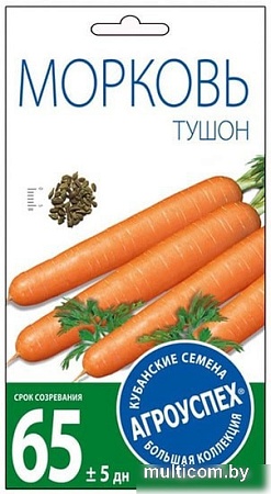 Семена Агроуспех Морковь Тушон 22198 2 г