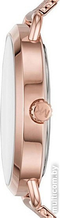 Наручные часы Michael Kors MK3845