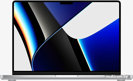 Ноутбук Apple Macbook Pro 14" M1 Pro 2021 MKGR3