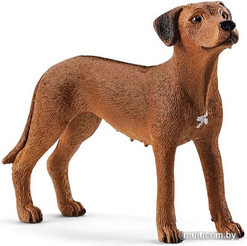 Фигурка Schleich Родезийский риджбек 13895