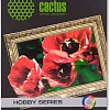 Холст CACTUS Холст A3 300 г/м2 10 листов [CS-СA326010]
