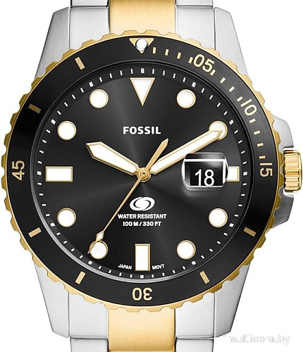 Наручные часы Fossil FS6031