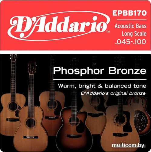 Струны для гитары D'Addario EPBB170