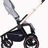 Универсальная коляска Rant MOWbaby Zoom PU (2 в 1, gold beige)