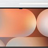 Планшет Samsung Galaxy Tab S10 Ultra 5G SM-X926 12GB/256GB (серебристый)