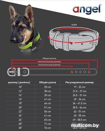 Ошейник Angel Pet Alpine 41034/AG (зеленый)