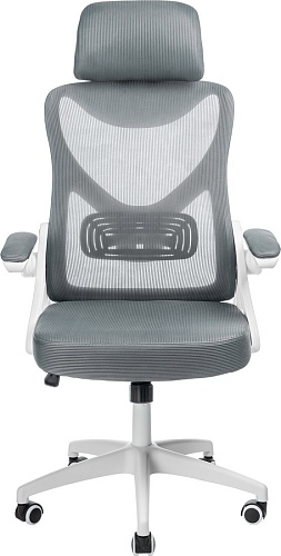 Офисное кресло Mio Tesoro Молизе AF-C4219 (серый)