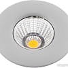 Точечный светильник Arte Lamp Uovo A1425PL-1GY