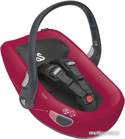 Детское автокресло Swandoo Albert (без базы, fruits)
