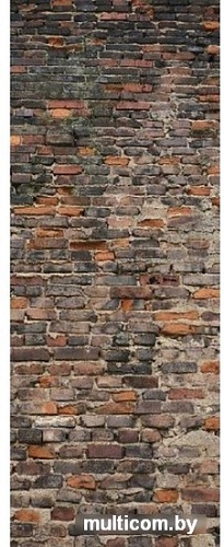 Фотообои Citydecor Кирпичи 3D с защитным покрытием 100x254